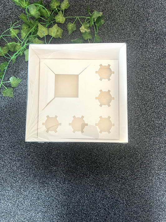 Bento Cupcake Box 5 Hold Clear Lid