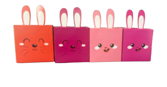 Easter Theme  favour Boxes