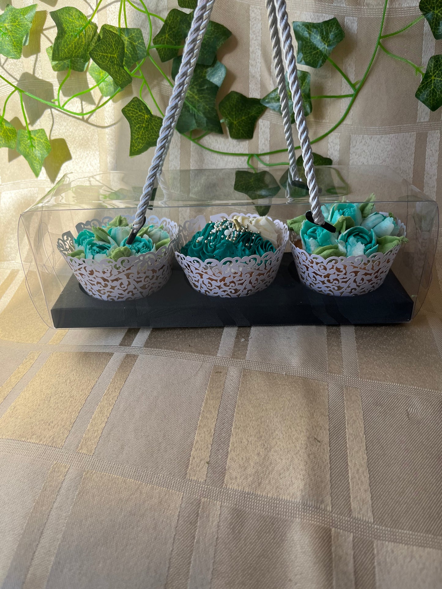 Clear Lid Cupcake Boxes - 3 Hold BLACK